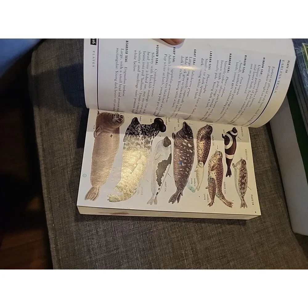 Peterson Field Guides: Peterson Field Guide to Mammals of North America : Fourth